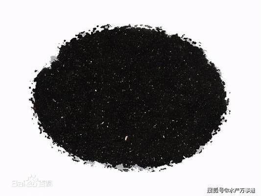 龍魚(yú)和雷龍魚(yú)兩只混養(yǎng)好嗎：如何判斷龍魚(yú)和雷龍魚(yú)體型匹配 龍魚(yú)和雷龍魚(yú)兩只混養(yǎng)好嗎：如何判斷龍魚(yú)和雷龍魚(yú)體型匹配 龍魚(yú)百科 第2張