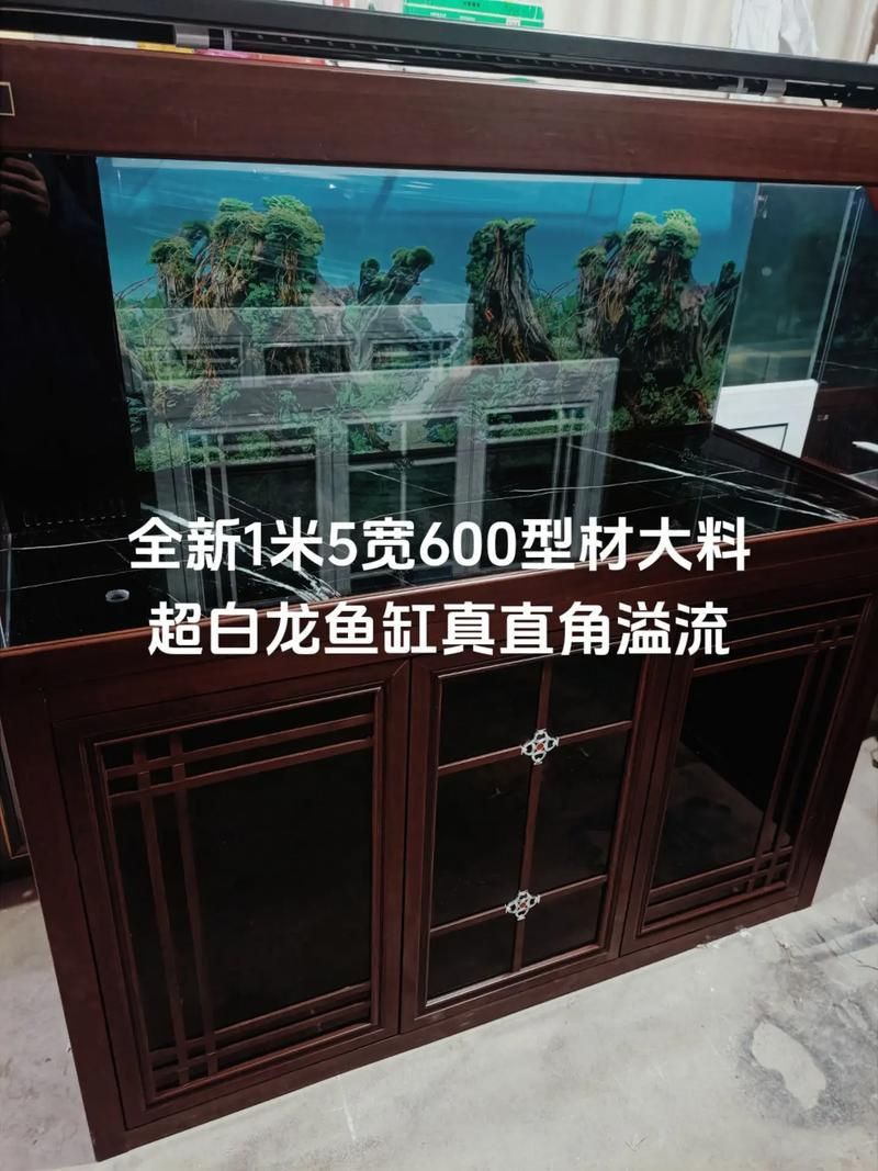 龍魚魚缸尺寸標準圖