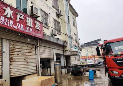 濟南哪里有賣龍魚的市場啊（濟南有哪些水族市場和龍魚市場）