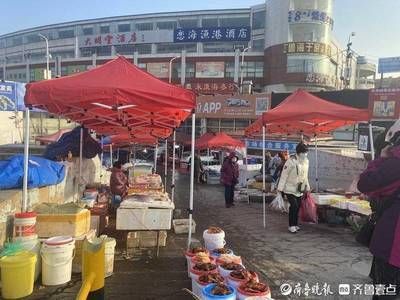 濟南哪里有賣龍魚的市場啊（濟南有哪些水族市場和龍魚市場）