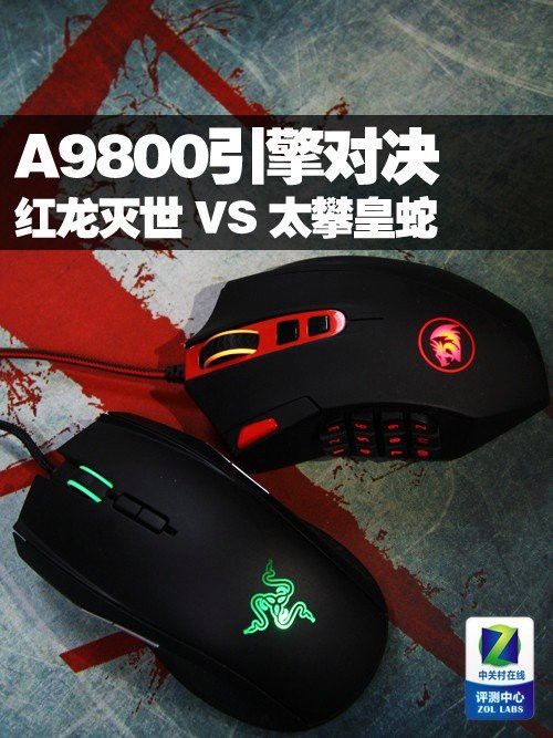 紅龍品牌與國際品牌相比如何？