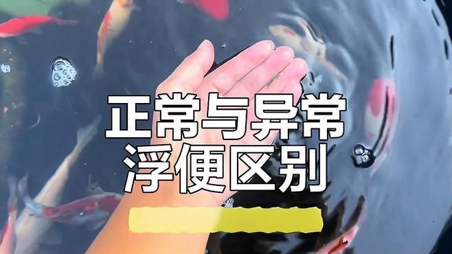 龍魚拉弗便 龍魚百科 第1張 龍魚拉弗便 龍魚拉弗便 龍魚百科 第1張