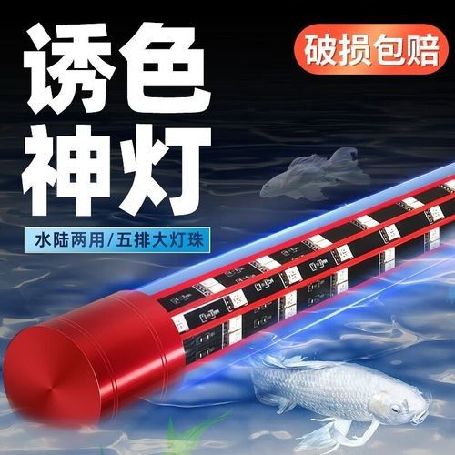 銀龍魚需要哪些照明設備？