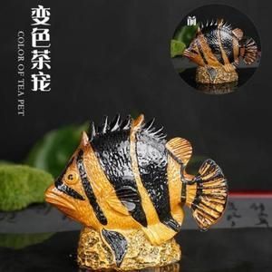 金龍魚怎么才變色快，金龍魚怎么變色快 金龍魚怎么才變色快，金龍魚怎么變色快 龍魚百科 第3張