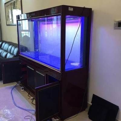 龍魚缸用幾根頂燈好：如何選擇龍魚缸的頂燈數量 龍魚缸用幾根頂燈好：如何選擇龍魚缸的頂燈數量 龍魚百科
