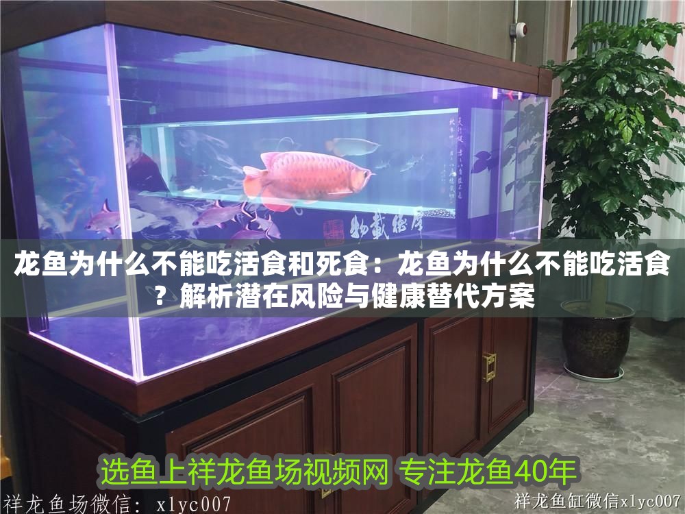 龍魚為什么不能吃活食和死食：龍魚為什么不能吃活食？解析潛在風險與健康替代方案