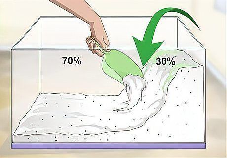 小火龍蠑螈需要多大的水量？