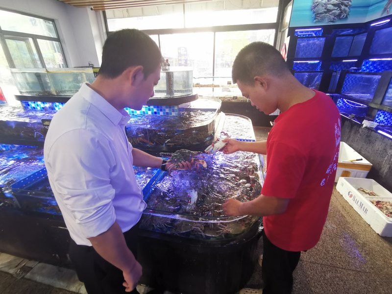 淄博龍魚批發(fā)市場在哪里啊