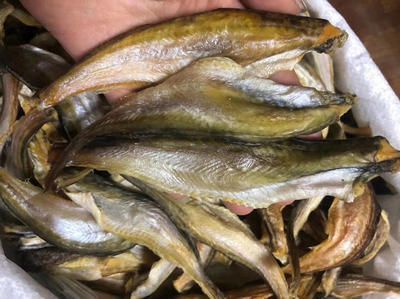 龍魚干怎么做好吃：紅燒龍魚干的做法 龍魚干怎么做好吃：紅燒龍魚干的做法 龍魚百科 第1張