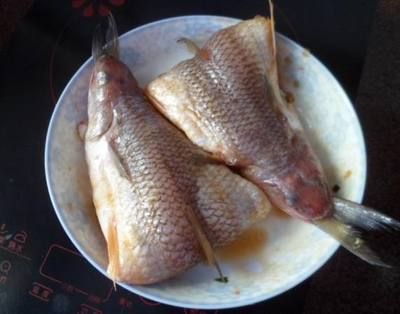 龍魚干怎么做好吃：紅燒龍魚干的做法 龍魚干怎么做好吃：紅燒龍魚干的做法 龍魚百科 第4張