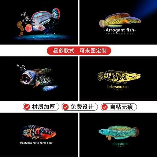 雷龍魚分布圖解