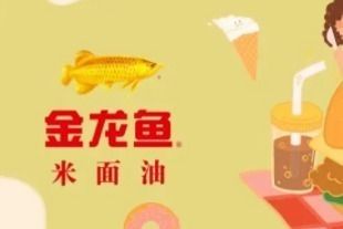 金龍魚原材料成本披露（金龍魚原材料成本上漲及其對公司盈利能力影響的影響）