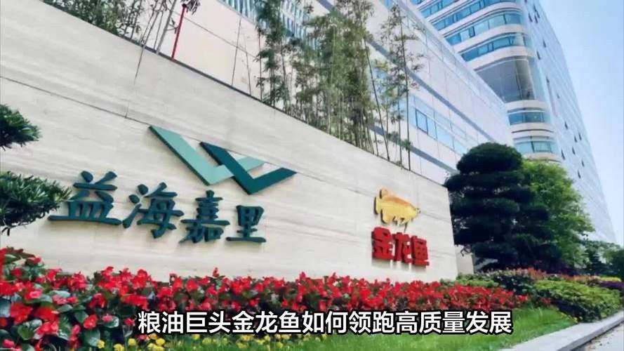 金龍魚深圳公司高管 金龍魚深圳公司高管 龍魚百科 第9張