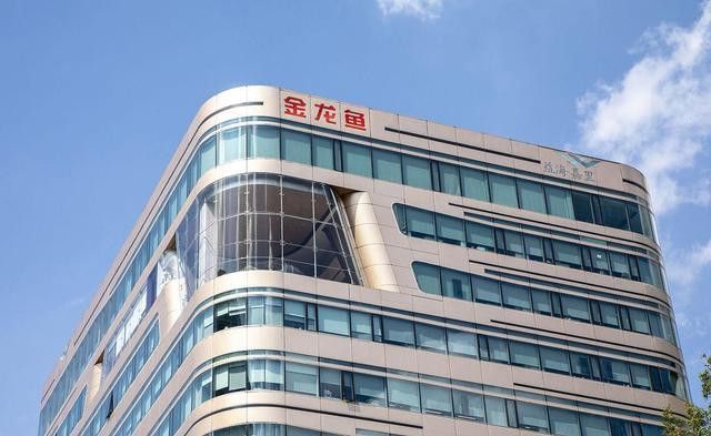 金龍魚深圳公司高管 金龍魚深圳公司高管 龍魚百科 第11張
