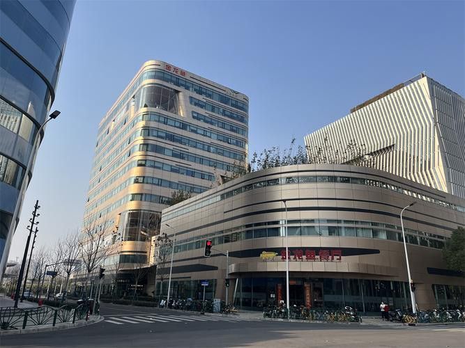 金龍魚深圳公司高管 金龍魚深圳公司高管 龍魚百科 第12張