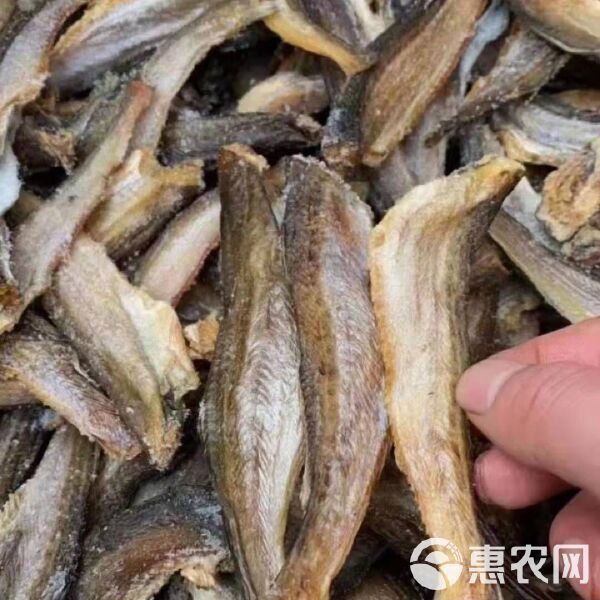 龍王魚市場(chǎng)價(jià)多少一斤