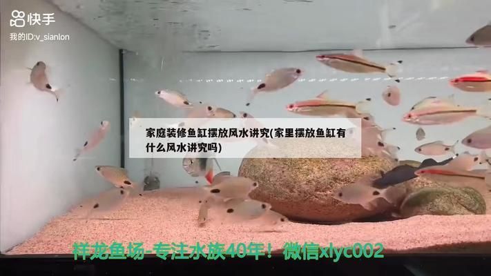 紅龍魚生長速度快表現出來什么樣（紅龍魚生長速度快表現出來什么樣子）