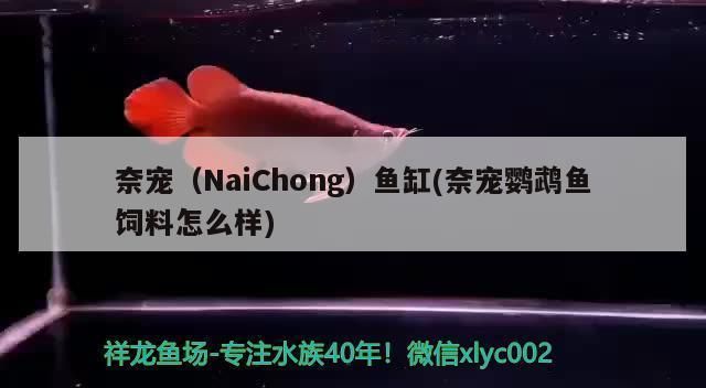 奈寵(NaiChong)魚缸(奈寵超白玻璃金晶五線金魚缸套餐版內(nèi)容介紹) 龍魚百科 第2張 奈寵(NaiChong)魚缸(奈寵超白玻璃金晶五線金魚缸套餐版內(nèi)容介紹) 奈寵(NaiChong)魚缸(奈寵超白玻璃金晶五線金魚缸套餐版內(nèi)容介紹) 龍魚百科 第2張