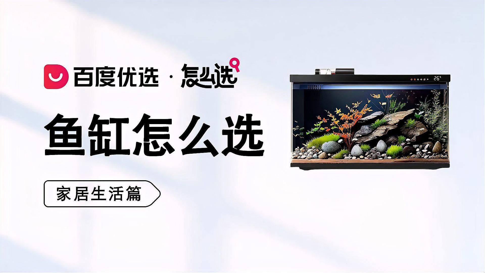 如何選擇適合自己的魚缸？ 如何選擇適合自己的魚缸？ 龍魚百科 第1張