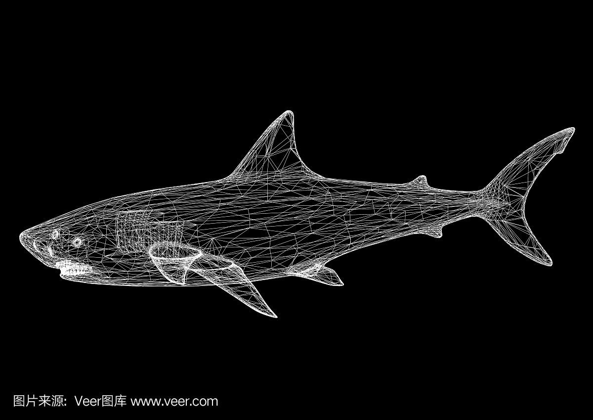 100萬的金龍魚視頻在線觀看全集下載：100萬的金龍魚視頻在線觀看全集，揭秘觀賞魚界的水中黃金