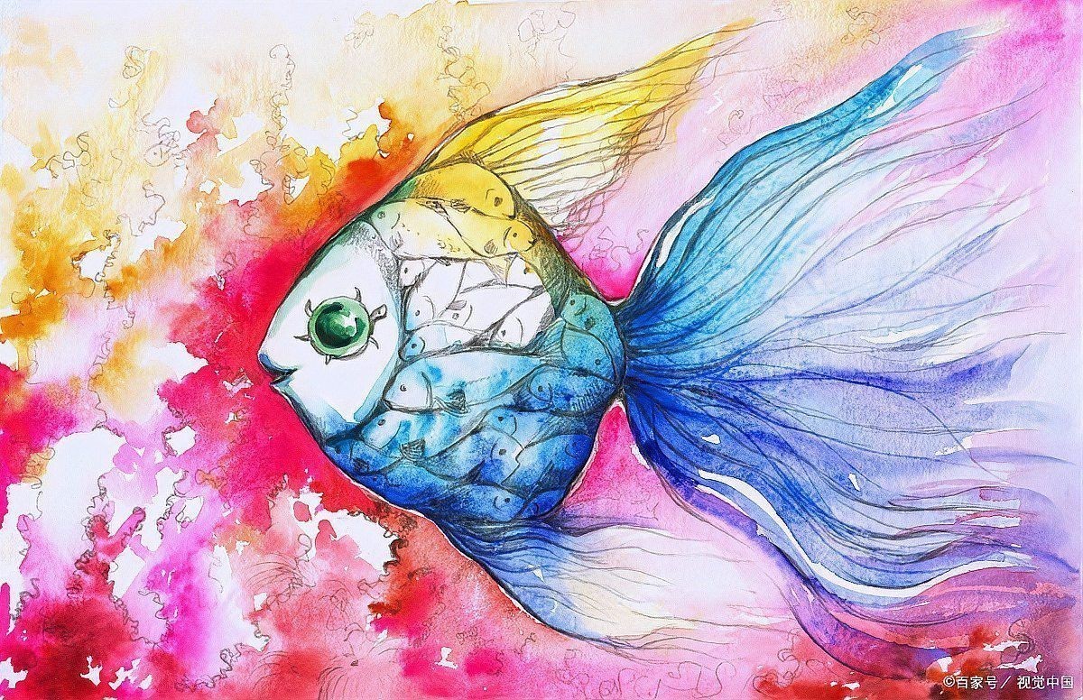 紅龍魚有哪些記憶能力