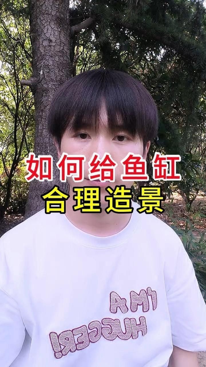 如何搭配魚缸布景以增強氣場？