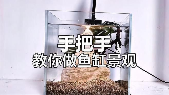 如何搭配魚缸布景以增強氣場？