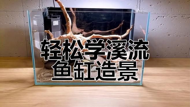 如何搭配魚缸布景以增強氣場？