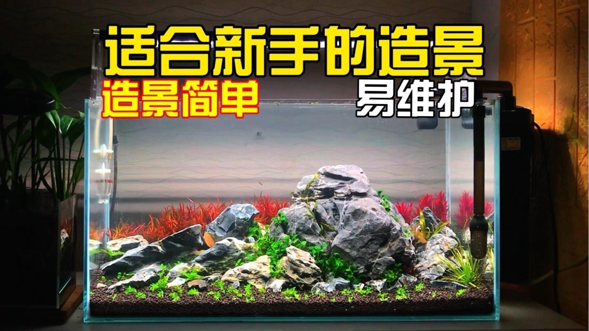 如何搭配魚缸布景以增強氣場？