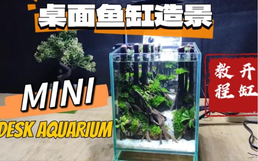 如何搭配魚缸布景以增強氣場？