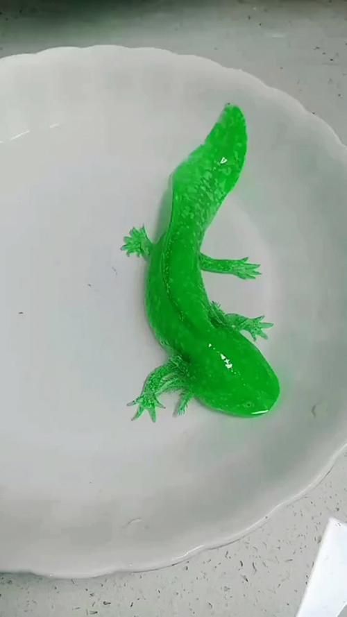 小龍魚長什么樣子圖片