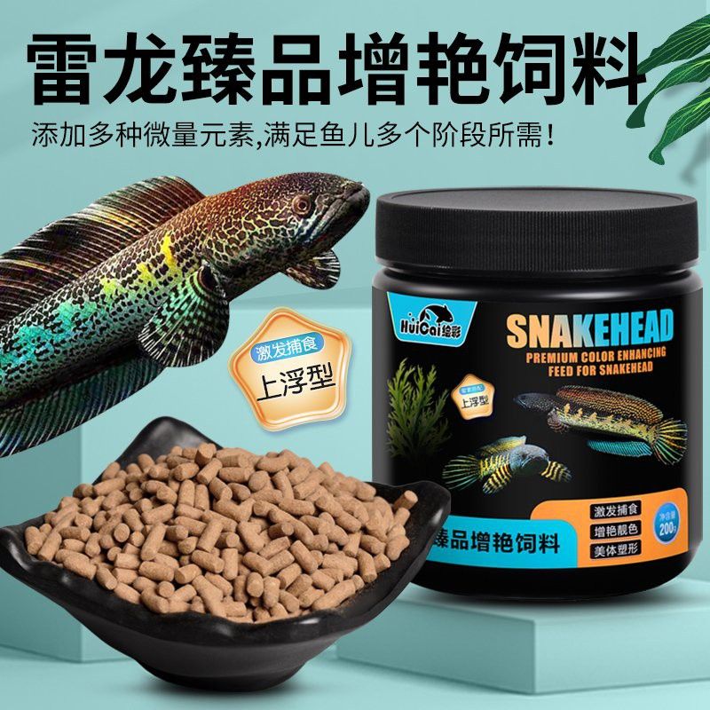有哪些食物可以促進雷龍魚發色？ 有哪些食物可以促進雷龍魚發色？ 龍魚百科 第5張