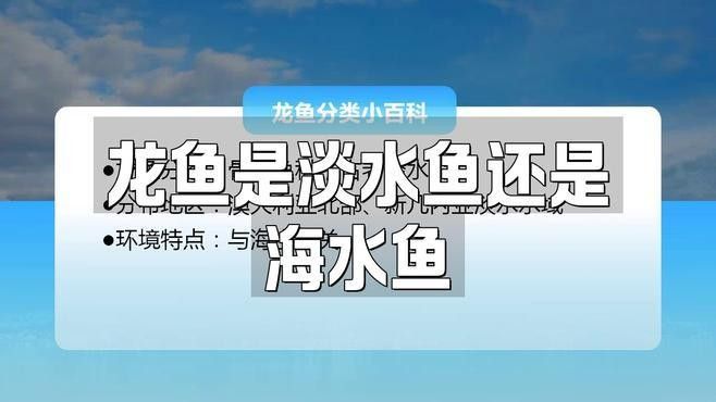 銀龍魚(yú)可以淡水養(yǎng)嗎 銀龍魚(yú)可以淡水養(yǎng)嗎 龍魚(yú)百科 第1張