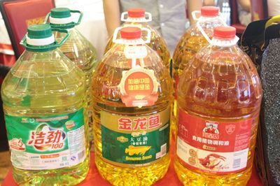 夏天金龍魚還需要加溫嗎：夏天金龍魚是否需要加溫取決于其所在地區(qū)的氣候條件和飼養(yǎng)者的具體做法 夏天金龍魚還需要加溫嗎：夏天金龍魚是否需要加溫取決于其所在地區(qū)的氣候條件和飼養(yǎng)者的具體做法 龍魚百科 第3張