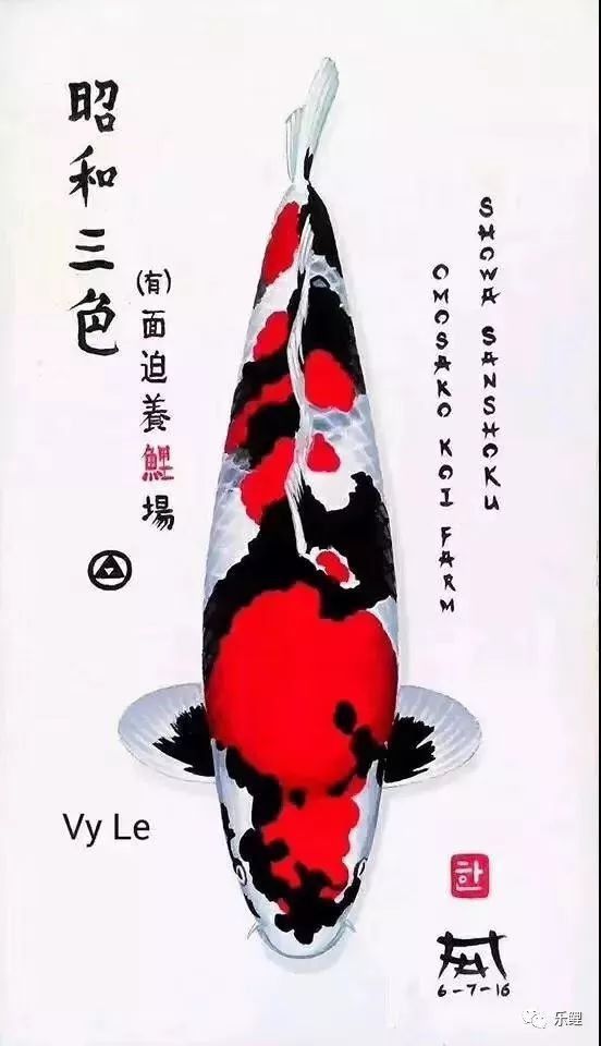 錦鯉大面積掉鱗露肉怎么辦