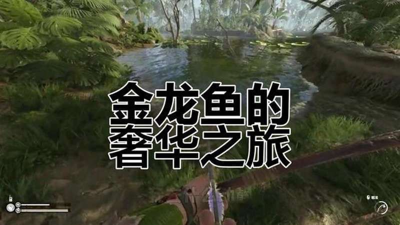 江津金龍魚怎么樣好吃嗎視頻教程 江津金龍魚怎么樣好吃嗎視頻教程 龍魚百科 第4張