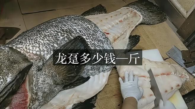 龍躉價格多少一斤