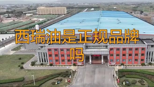 西瑞油好還是金龍魚好