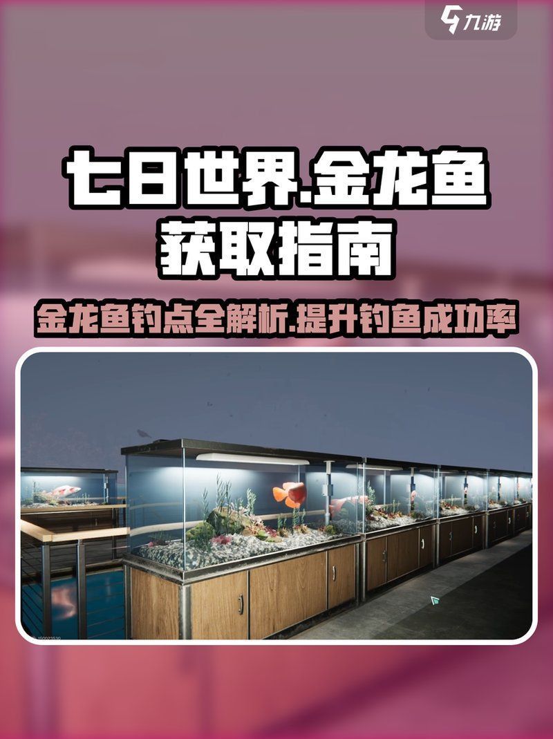 金龍漁場(chǎng)最牛三個(gè)地方