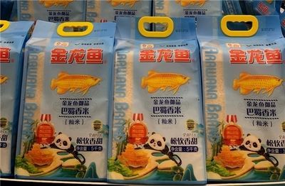 金龍魚野外生長環境