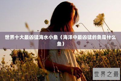 龍魚升溫治病后多長(zhǎng)時(shí)間恢復(fù)以前水溫：龍魚升溫后多長(zhǎng)時(shí)間恢復(fù)以前水溫