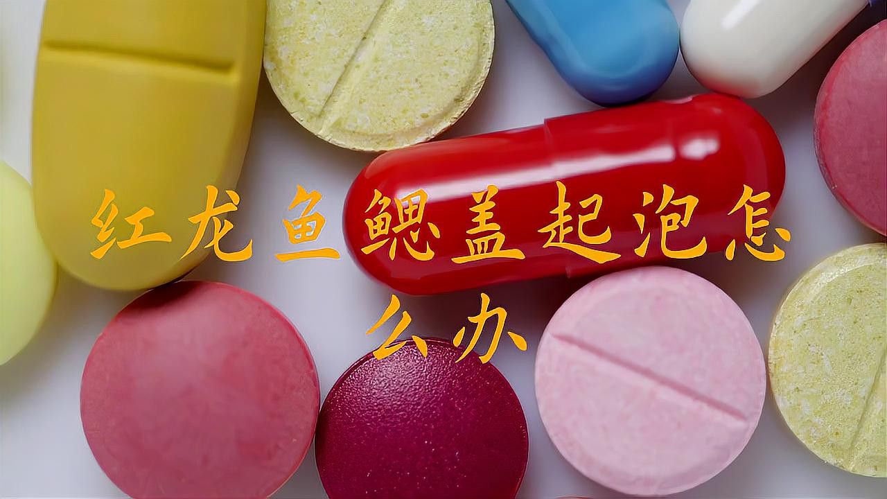 紅龍魚腮蓋發紅怎么辦？ 紅龍魚腮蓋發紅怎么辦？ 龍魚百科 第8張