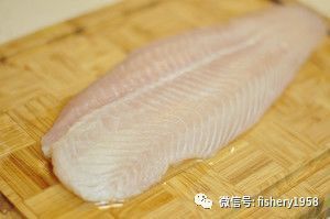 龍利魚還叫什么魚
