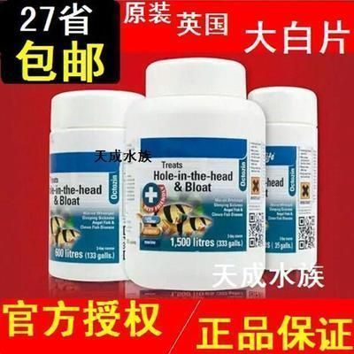大白片喂龍魚一次多少克：關于龍魚養殖的一些問題