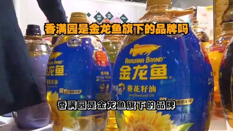 馬來西亞國寶魚 馬來西亞國寶魚 龍魚百科 第10張