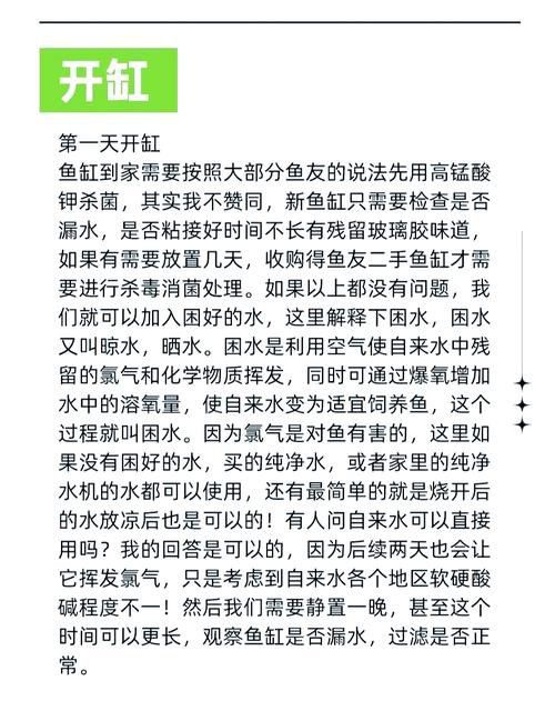 印尼紅龍魚(yú)喂養(yǎng)方法圖解大全