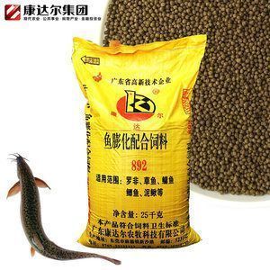 十大頂級(jí)品牌龍魚(yú) 龍魚(yú)百科 第4張 十大頂級(jí)品牌龍魚(yú) 十大頂級(jí)品牌龍魚(yú) 龍魚(yú)百科 第4張