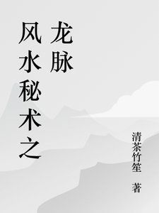 風水龍脈小說