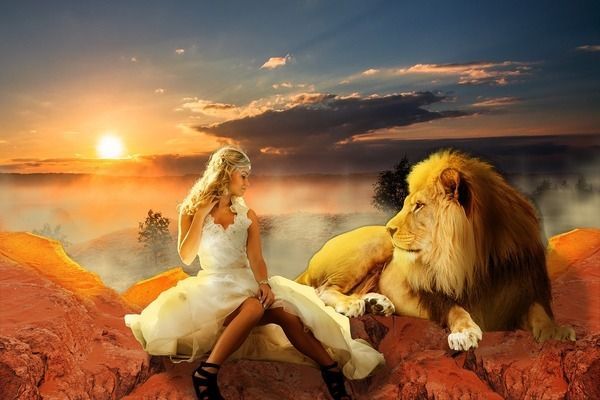 虎紋恐龍魚能和什么魚混養呢（虎紋恐龍魚可以與哪些魚類混養）