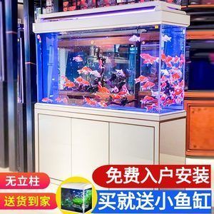 小魚(yú)缸養(yǎng)龍魚(yú)是可行的，但會(huì)面臨許多挑戰(zhàn)，小魚(yú)缸養(yǎng)龍魚(yú)可行嗎：小魚(yú)缸養(yǎng)龍魚(yú)會(huì)面臨哪些挑戰(zhàn)